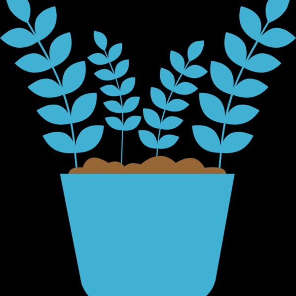 Plant 5 Thumbnail
